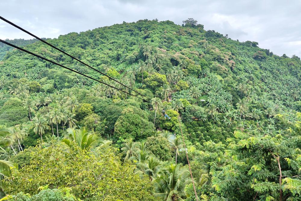 shepx3 — BusinessMirror Features Sta. Maria’s Agritourism and Shepherd’s Ridge as a Key Destination