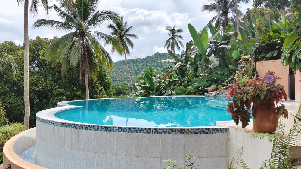 shepx4 — BusinessMirror Features Sta. Maria’s Agritourism and Shepherd’s Ridge as a Key Destination